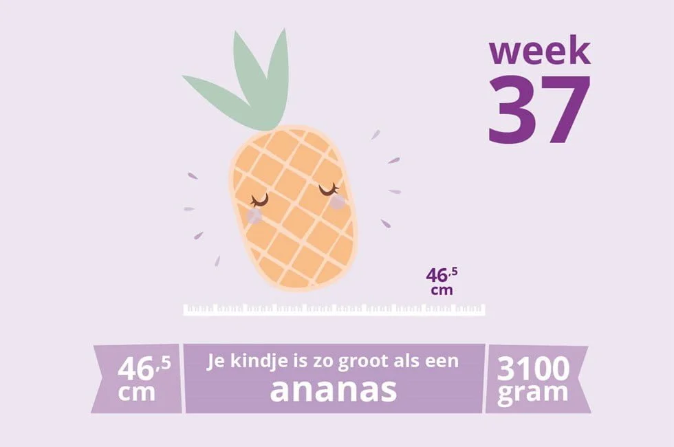 zwangerschapsupdate_week 37_mamablogger_marisca_zwanger_baby_verloskundige_