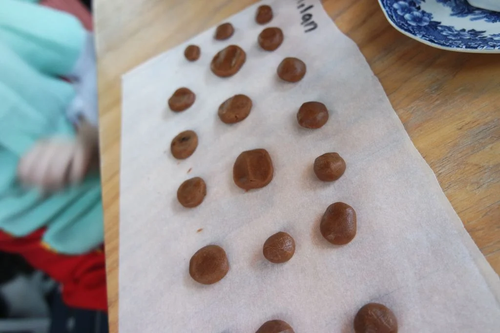 Sinterklaasintoch_eerste keer intocht_Sinterklaas_verslag_Mamablogger_