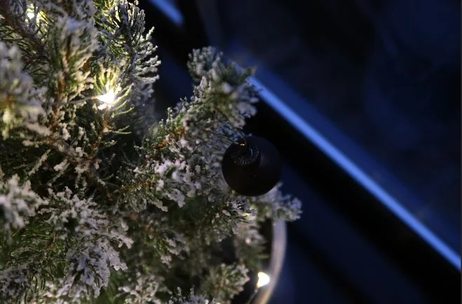 kerstboom_nicolas vahe_kerst_interieur_mamablogger_tip_kerst_intratuin_Marisca_mama blogger_