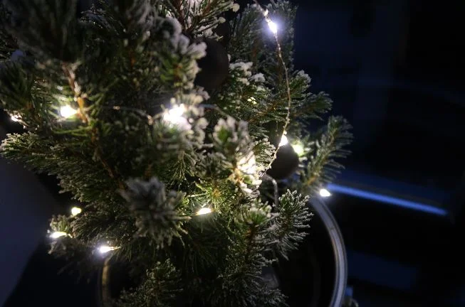 kerstboom_nicolas vahe_kerst_interieur_mamablogger_tip_kerst_intratuin_Marisca_mama blogger_