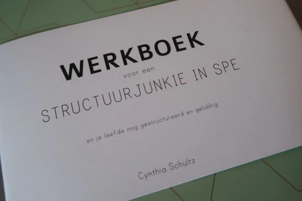 Werkboek voor structuurjunkies_cynthia_review_mamablogger_marisca