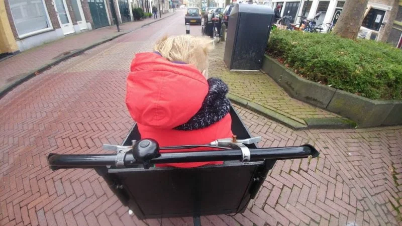 diary_mamabloger_marisca_persoonlijk_verjaardag_stormschade_dagboek_foto's_