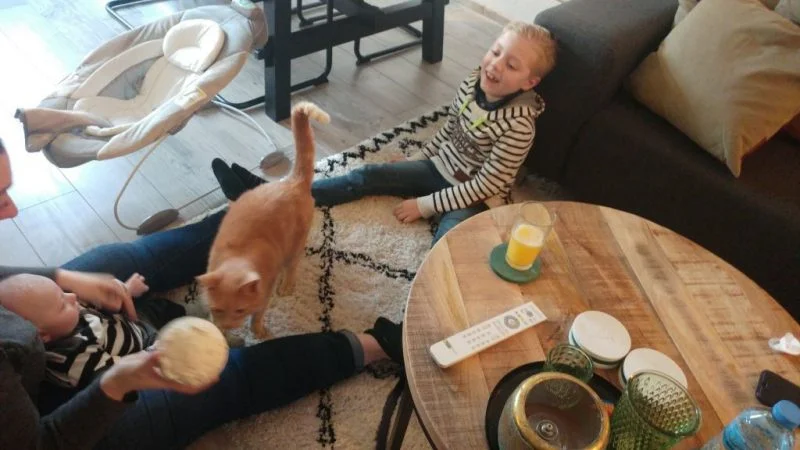 diary_mamablogger_marisca_kenter_persoonlijk_jarig_luizenmoeder_blogger_
