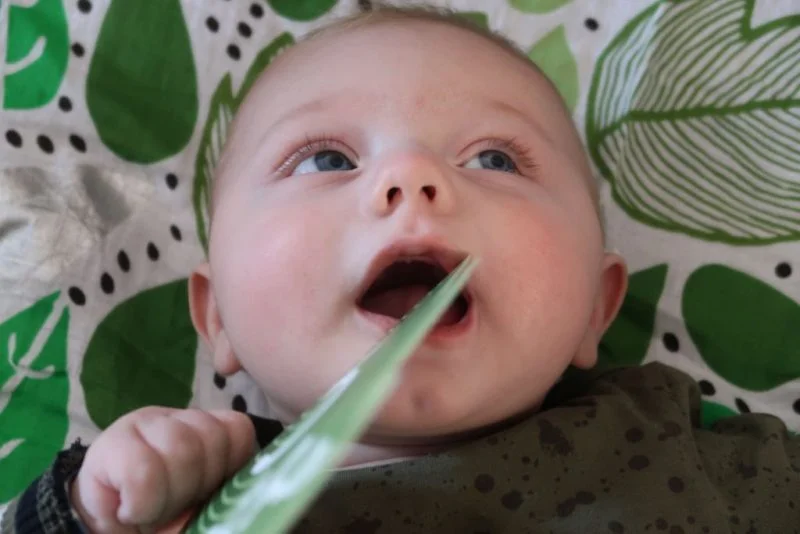 Floris_5 maanden_baby_mamablogger_Marisca_persoonlijk_