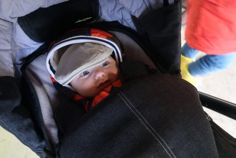 avonturenboerderij_Molenwaard_review_mamablogger_marisca_groot-ammers_Fien_Teun_dagje weg