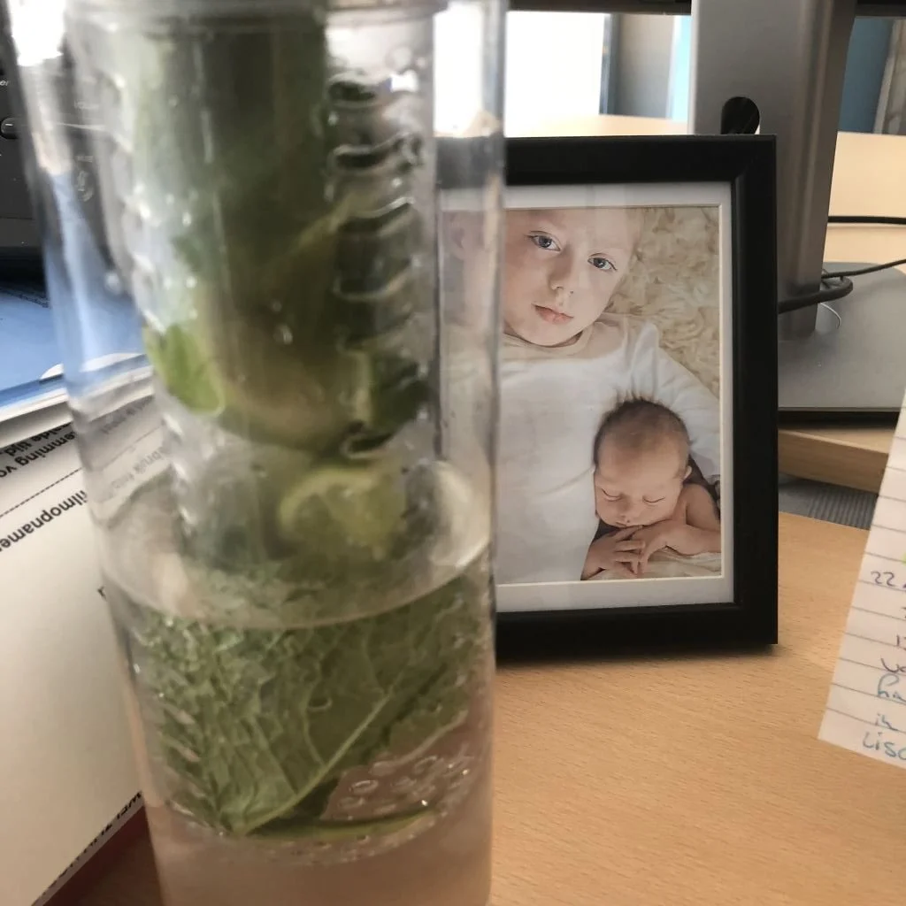 diary_mamablogger_marisca_persoonlijk_werkende moeder_dagboek_foto_