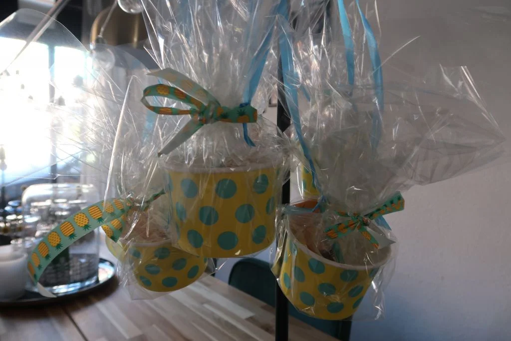 avondvierdaagse_uitdelen_uitdeel_traktaties_mamablogger_DIY_