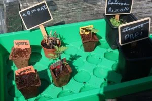 Milans Moestuin_Mamablogger_Marisca_update_Albert Heijn_Intratuin_tuin_kinder moestuin_