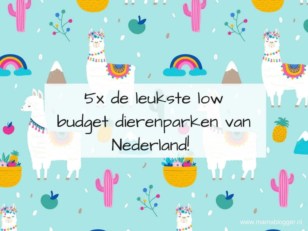 5x de leukste low budget dierenparken van Nederland + plattegronden!