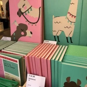 alpaca_mamablogger_schoolspullen_flying tiger_back to school_schoolcampus_