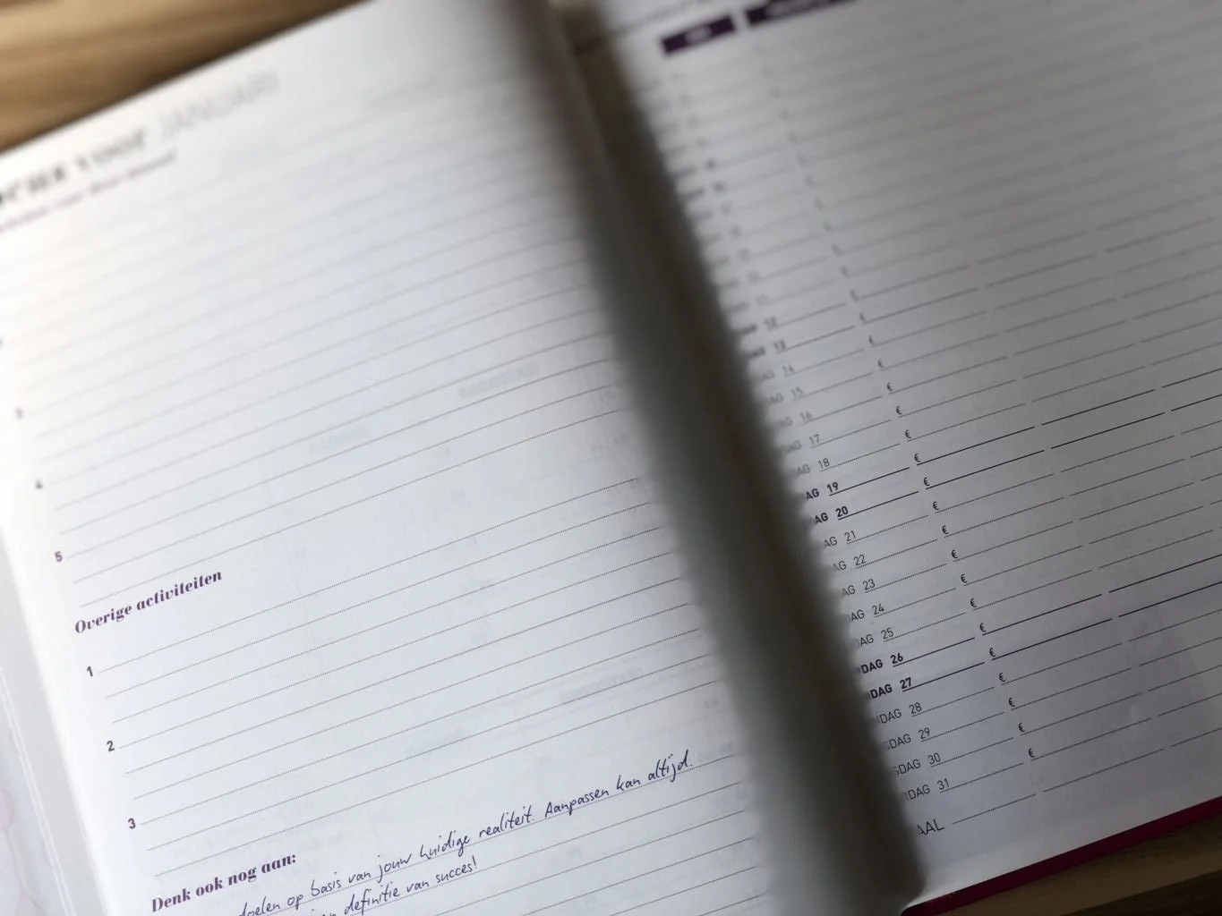 zakenmam_agenda_2019_review_planner_werkende_moeders_mamablogger_