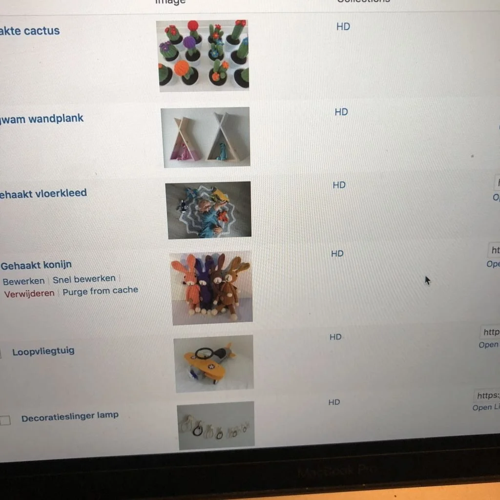 diary_druk_werken_werkende moeder_mamablogger_plotter_