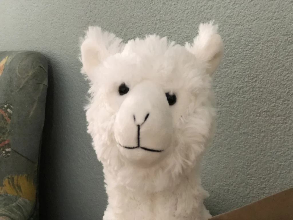 Box_eruit_schoolburreautje_aap_noot_mies_van stoer hout_mamablogger_interieur_zithoekje_Kwantum_alpaca_