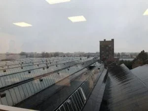 diary_sinterklaas_mamablogger_persoonlijk_dagboek_intocht_