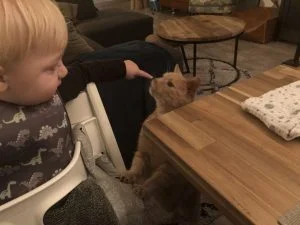 diary_sinterkerst_interieur_mamablogger_pakjesavond_