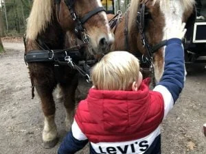 eerste kerstdag_kerst 2018_mamablogger_verslag_