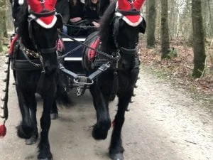 eerste kerstdag_kerst 2018_mamablogger_verslag_