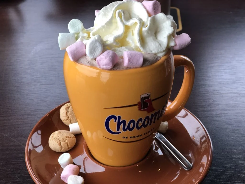 Diary_sinterklaasfeest_werk_ziekenhuis_Kerst_mamablogger_