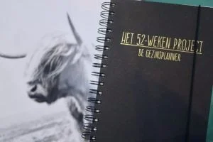 Geluksplanner_52_weken_project_mamablogger_Melon_Day_planner_zelfreflectie_