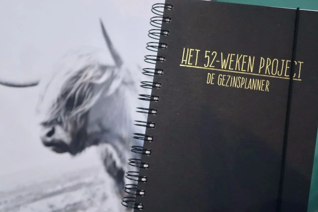 Geluksplanner_52_weken_project_mamablogger_Melon_Day_planner_zelfreflectie_