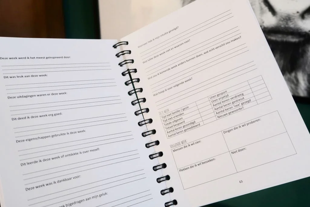 Geluksplanner_52_weken_project_mamablogger_Melon_Day_planner_zelfreflectie_