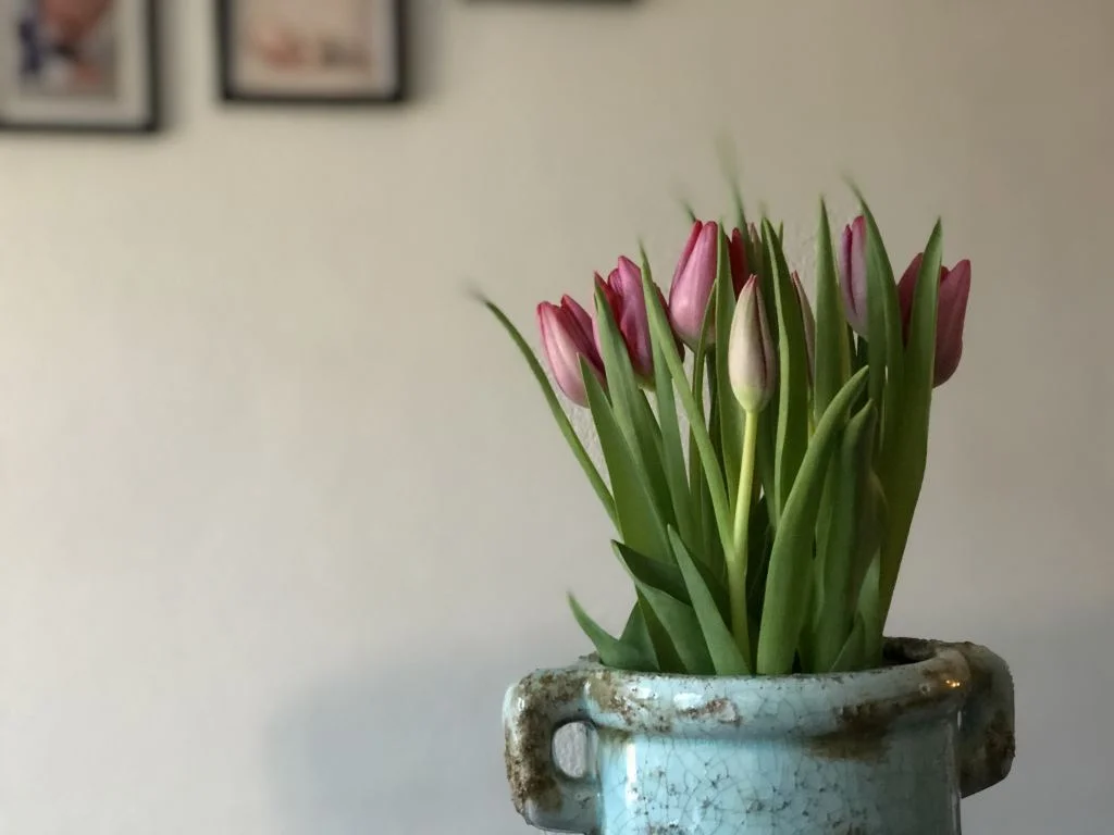 productief_eerste week 2019_diary_mamablogger_opruimen_