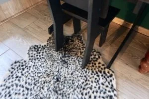 luipaard_vloerkleed_panter_kruidvat_mamablogger_mama's musthaves_speelhoek_