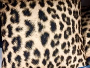 Action_musthaves_panter_kussentje_woonaccessoires_budget_woonaccessoies_trakteren_babykamer_mamablogger_