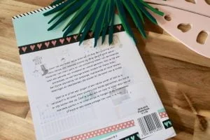 hema_shoplog_kratjes_cadeautjes_traktaties_wibra_posterboek_mamablogger_