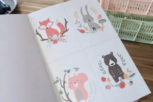 hema_shoplog_kratjes_cadeautjes_traktaties_wibra_posterboek_mamablogger_