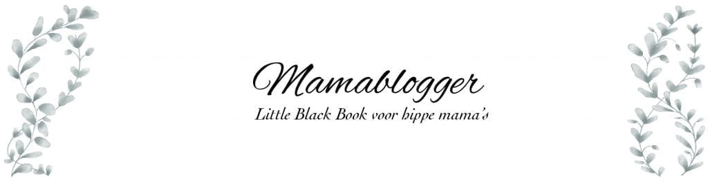 headermamablogger_mamablogger_header_little_blackbook_moeders_