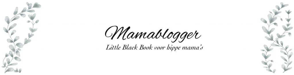 headermamablogger_mamablogger_header_little_blackbook_moeders_