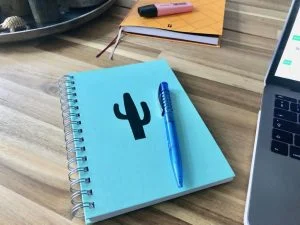 plog_thuiswerken_dreumes_werkende moeder_mamablogger_