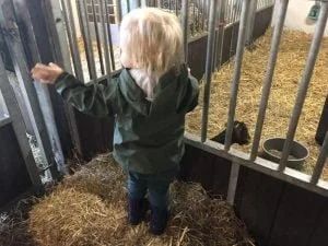 diary_mamablogger_persoonlijk_werken_