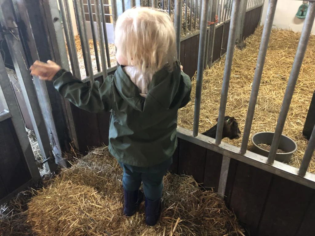 diary_mamablogger_persoonlijk_werken_