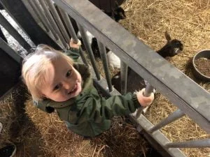 diary_mamablogger_persoonlijk_werken_