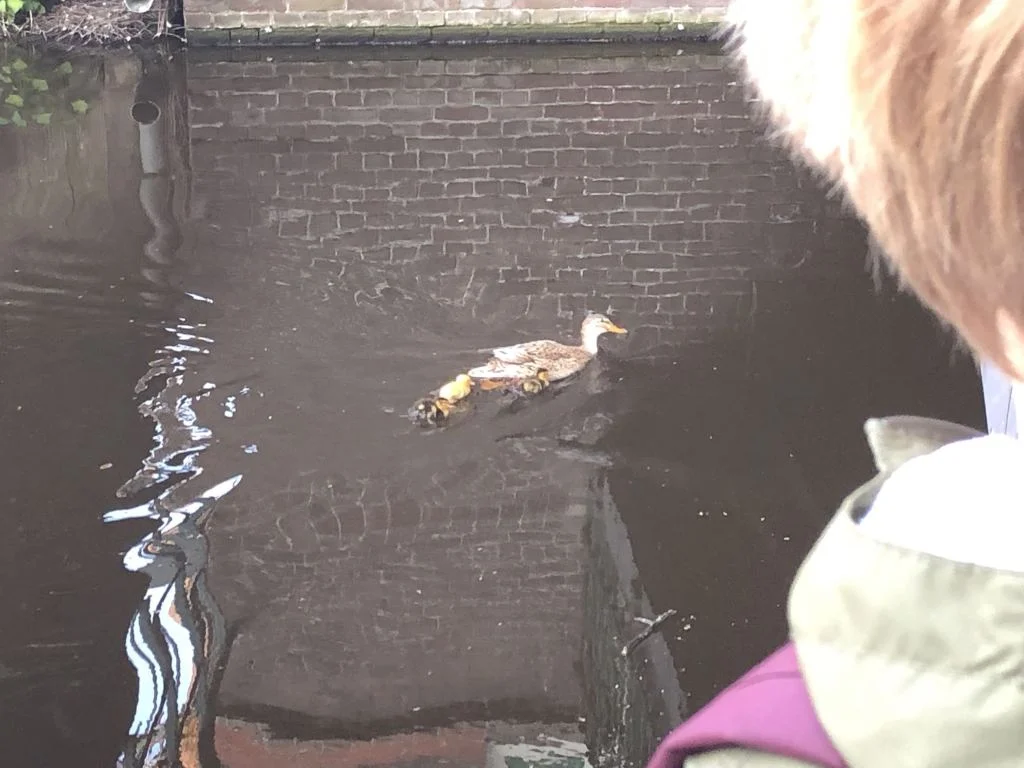 diary_fotograaf_pasen_lente_mamablogger_
