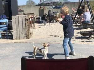 diary_fotograaf_pasen_lente_mamablogger_