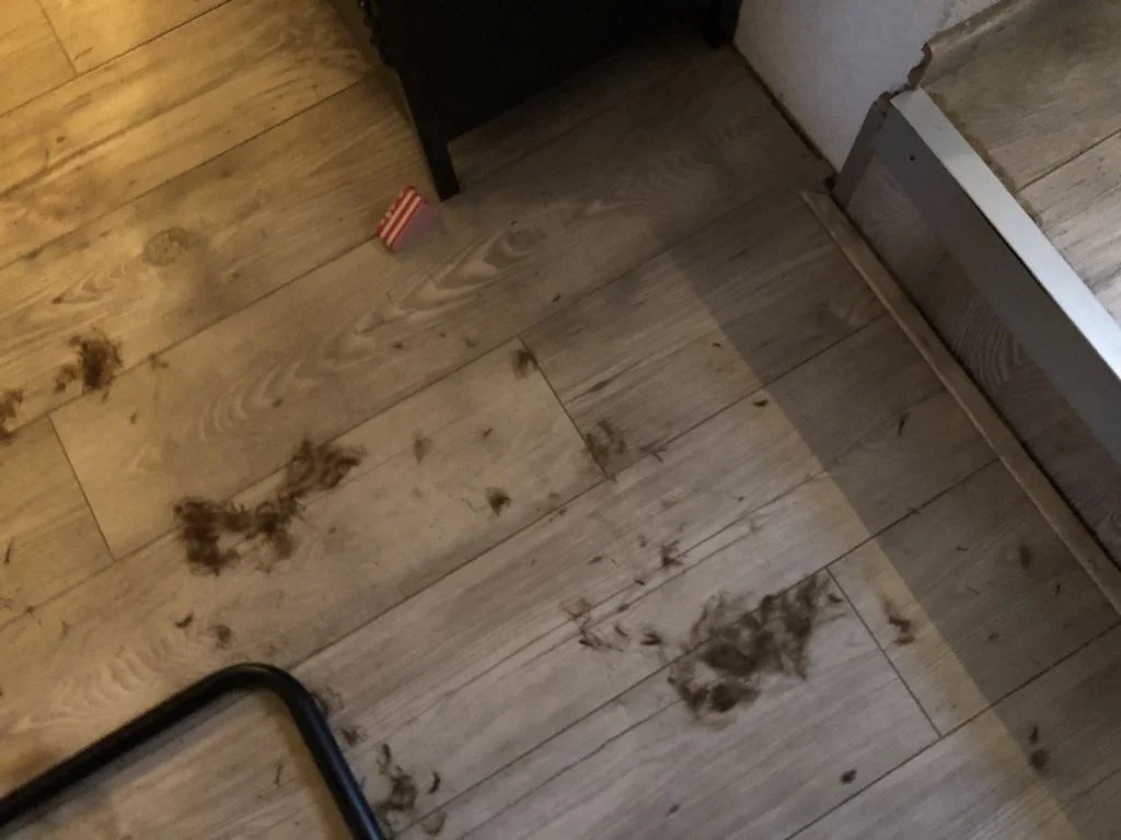 diary_mamablogger_persoonlijk_werken_
