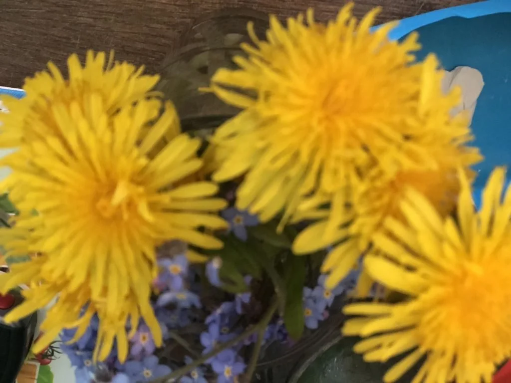 diary_fotograaf_pasen_lente_mamablogger_