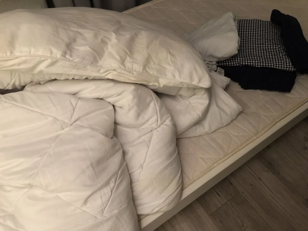 plog_thuiswerken_dreumes_werkende moeder_mamablogger_