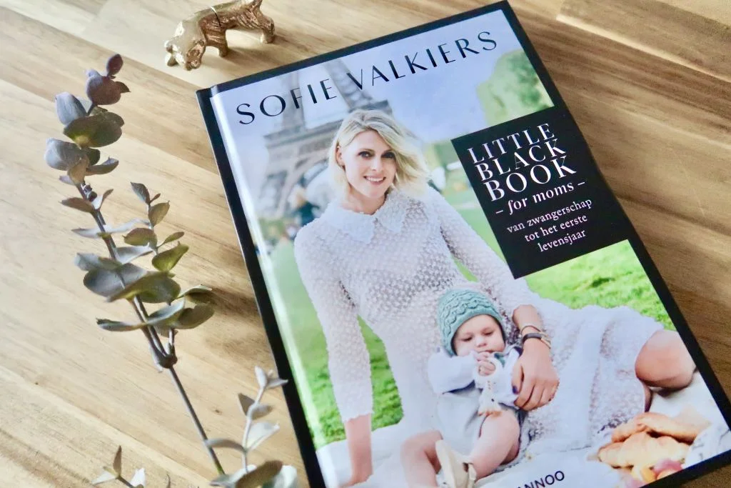 lifestyle_boeken voor moeders_5x_happy life 365_schoolpleinmoeders_kies positief_mindset_mamablogger_