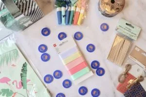 ijsmuntjes_avondvierdaagse_inpakken_tip_mamablogger_DIY_