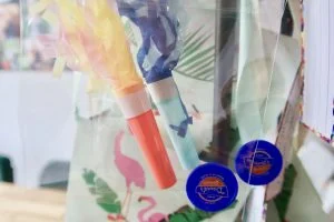 ijsmuntjes_avondvierdaagse_inpakken_tip_mamablogger_DIY_
