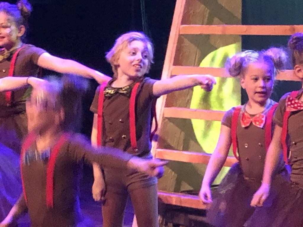 allaladin_voorstelling_schouwburg_musical_musicalles_Milan_