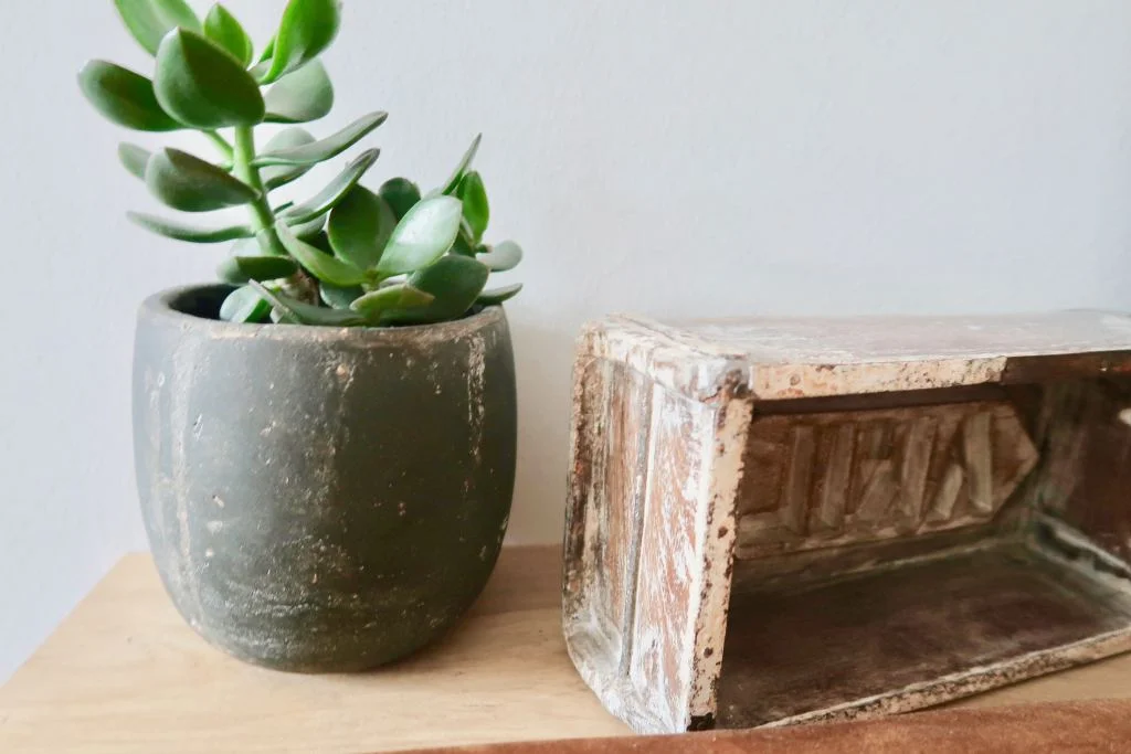 geldboompje_geluksboom_jade_plant_interieur_mamablogger_cadeautip_