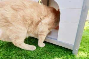 Action_houten_huisje_mamablogger_budget_kinderkamer_dieren_huisdieren_