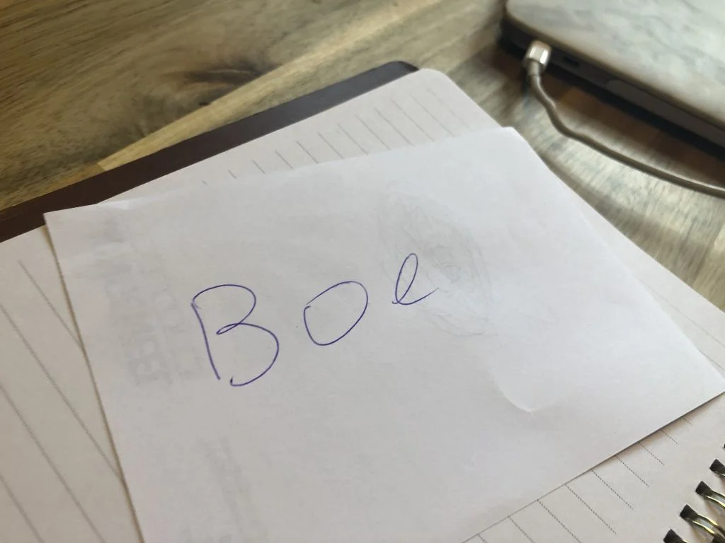 Back to reality_diary_persoonlijk_mamablogger_