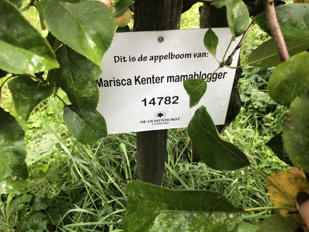 diary_huis verkocht_slaapkamer make-over_persoonlijk_appels plukken_mamablogger_