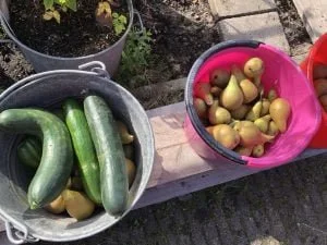 diary_mamablogger_singelloop_persoonlijk_nagels_9-jaar prik_